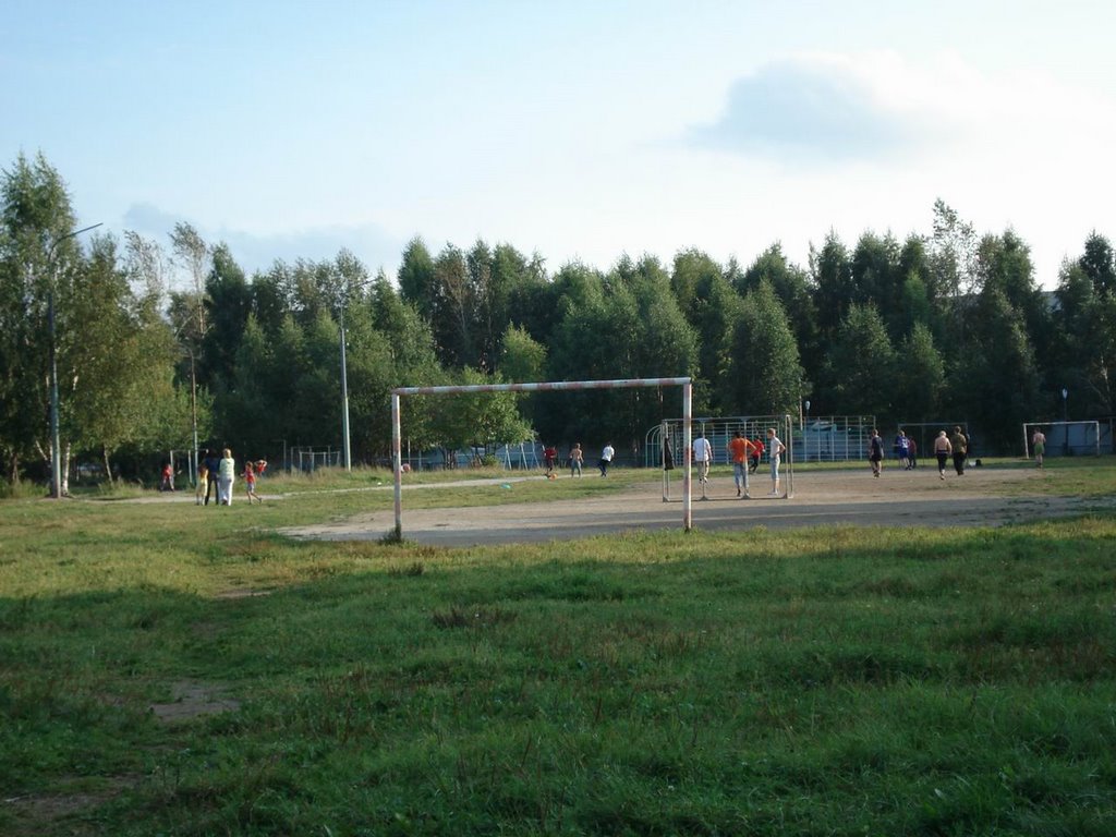 В.Пышма, стадион школы № 2
