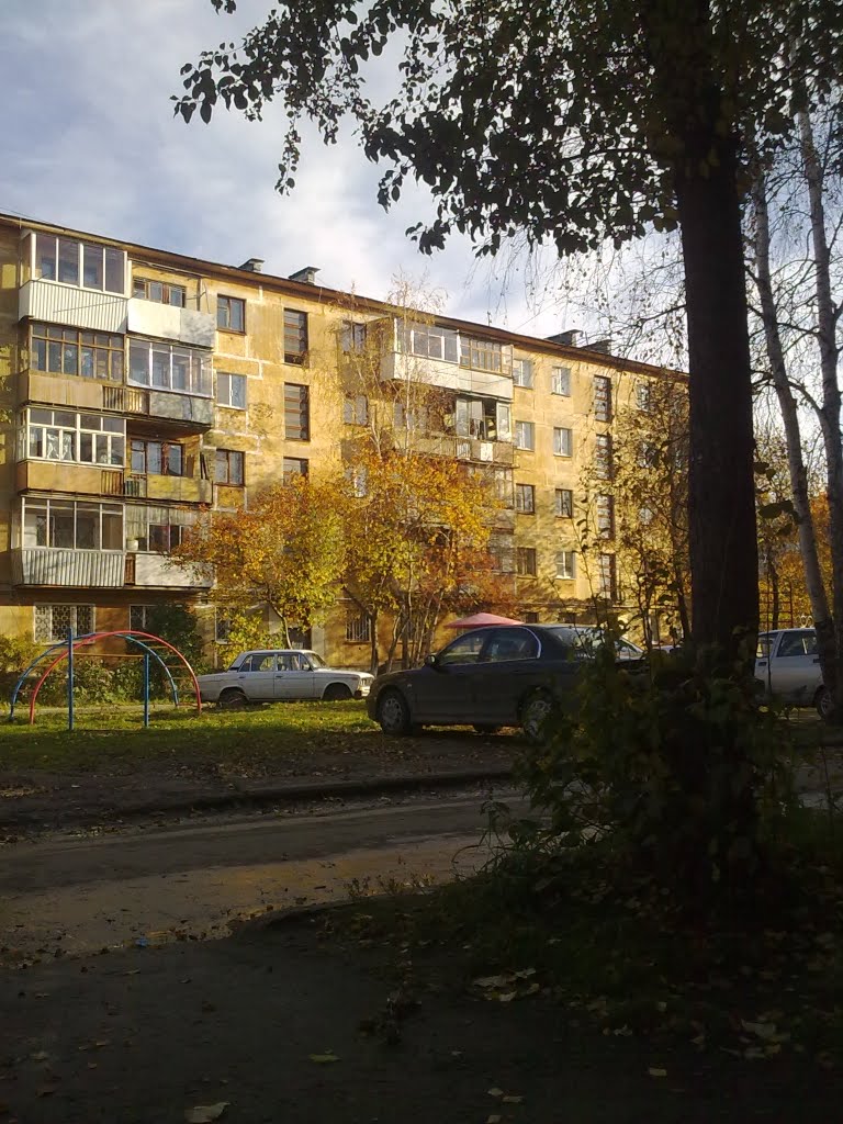 Кривоусова 51