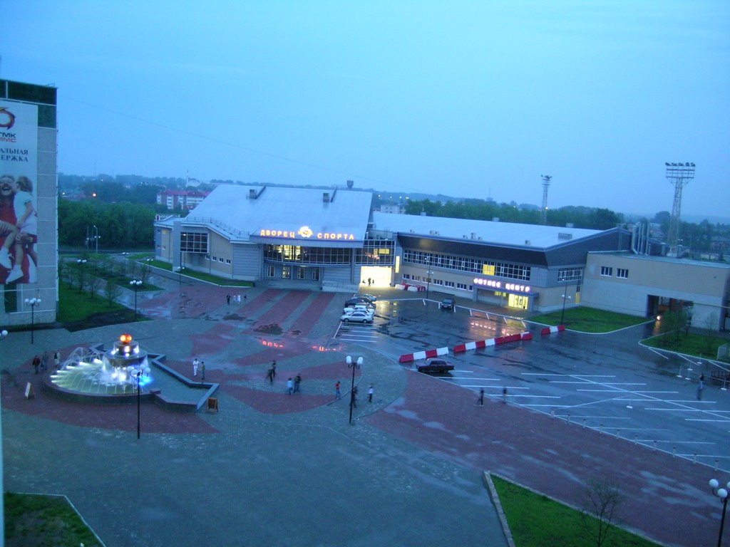 Вид на Дворец спорта УГМК/The view of Sport Palace UMMC
