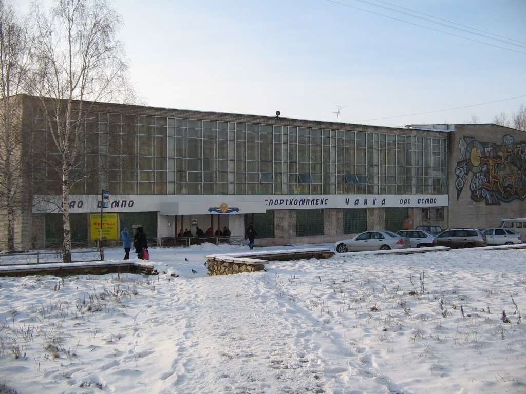 Чайка