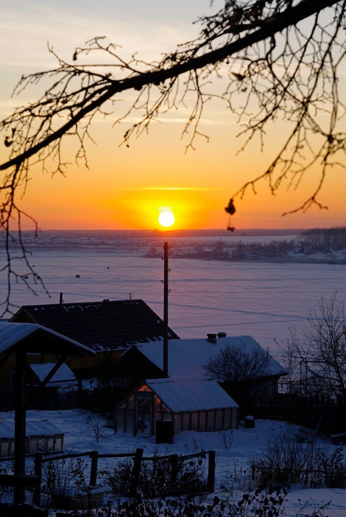 видок