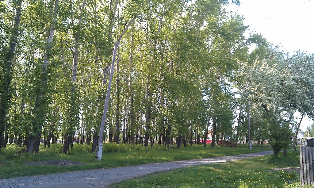 лесок