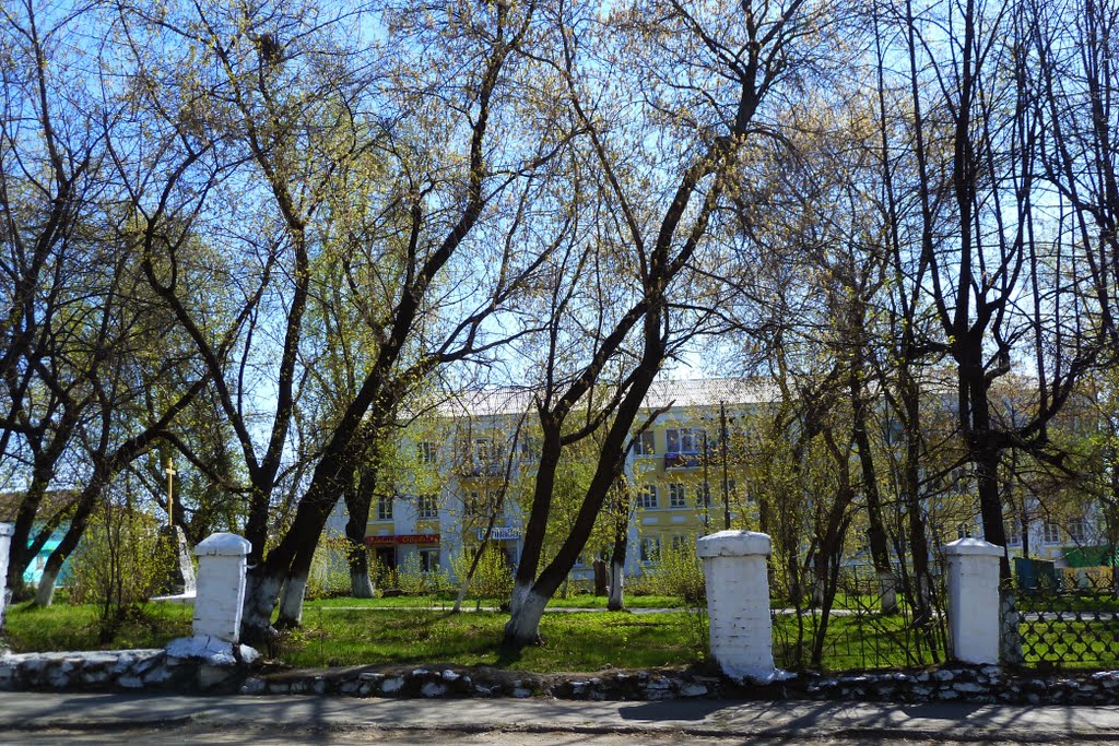 Верхняя Тура. Городской парк.