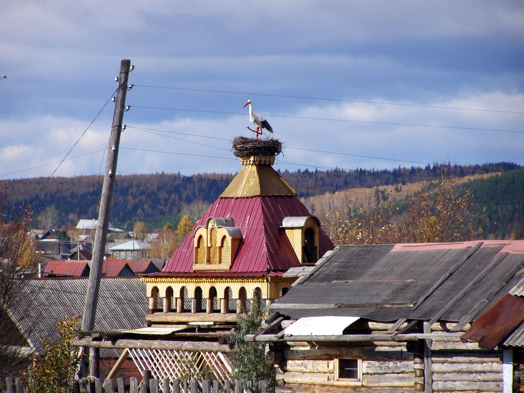 Аист