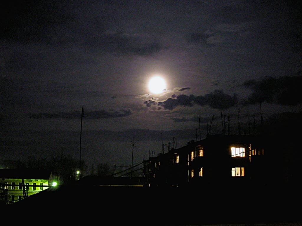 луна в ночи/moon in the night