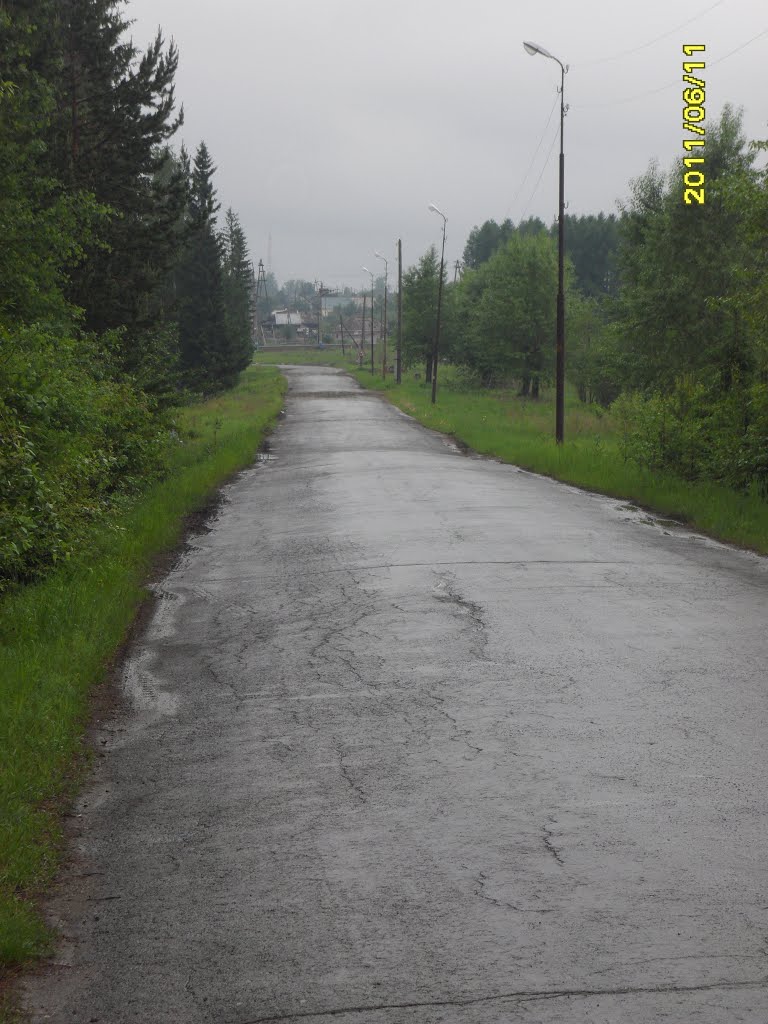 дорога в город