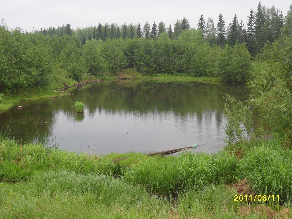 мини-водохранилище