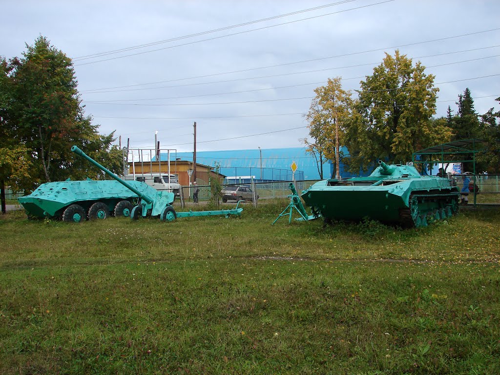 Гари. 2013 г