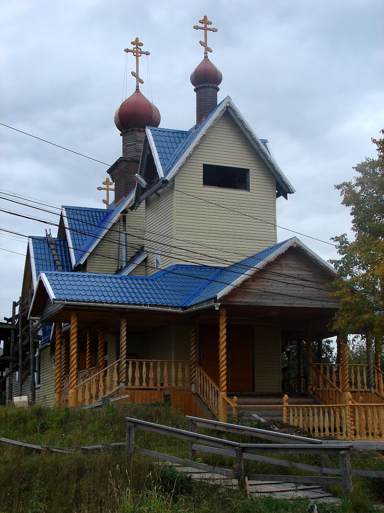 Гари. 2013 г