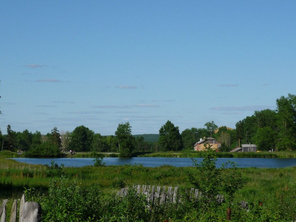 Маленький прудSmall pond