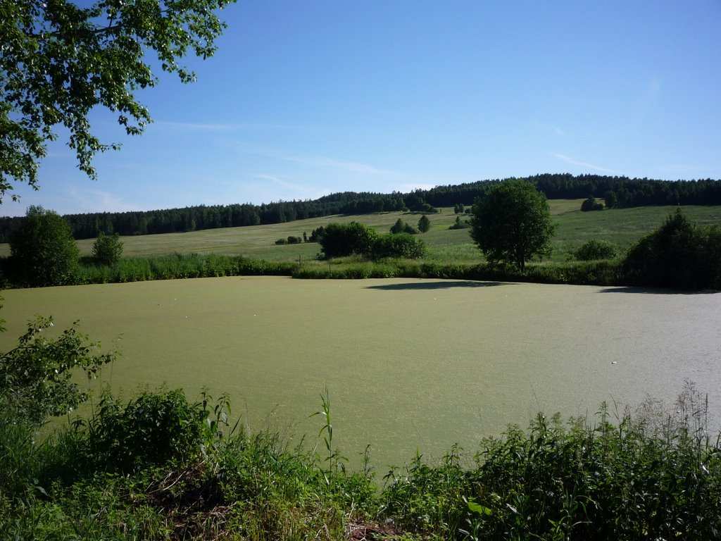 Болотце. Дегтярск.Small bog. Degtyarsk.
