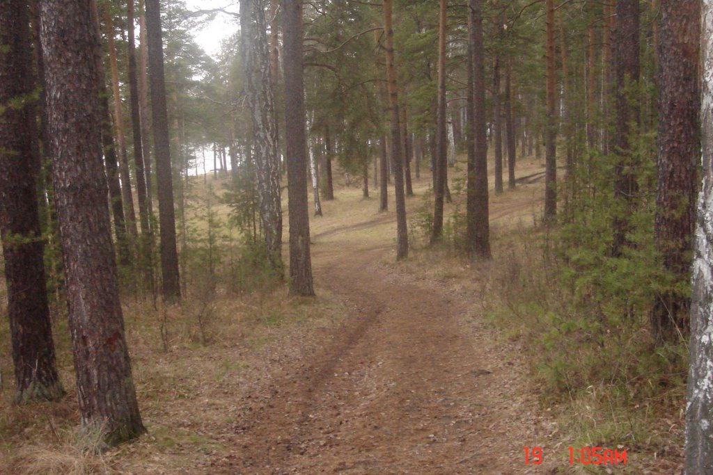 Тропа здоровья...