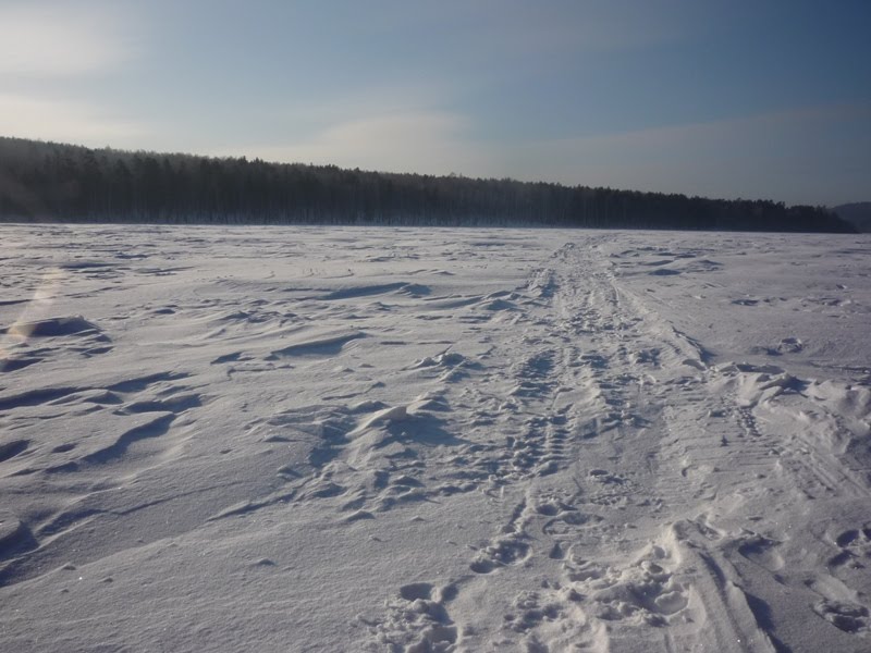 Замерший пруд