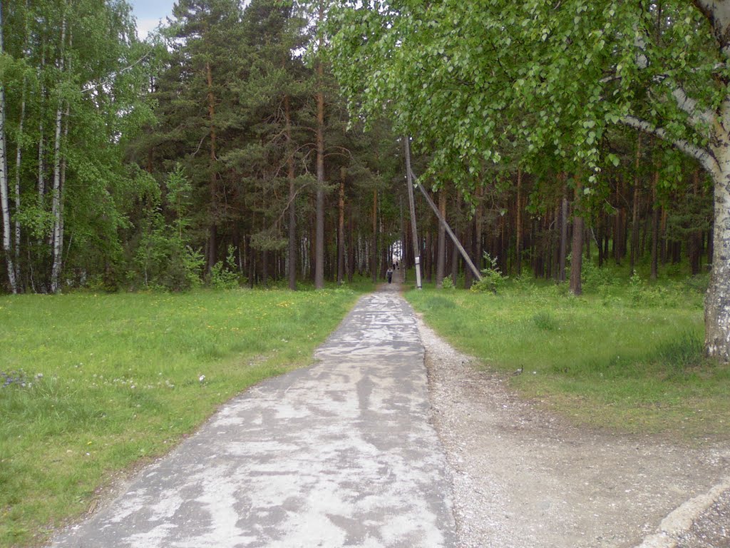 Дорожка к городскому пруду