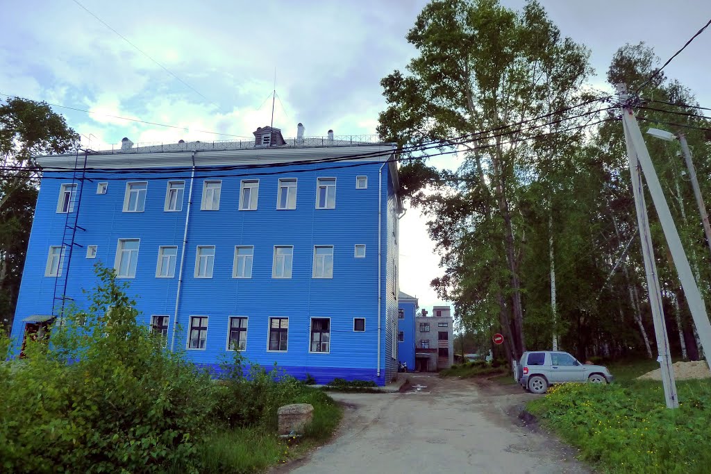 Дегтярск. Больница.