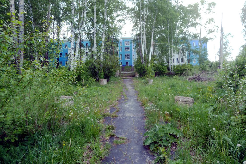 Дегтярск. Больница.