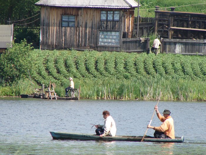 Ертарские будни.