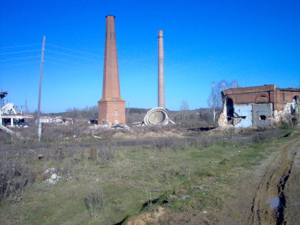 бывший целлюлозный комбинат