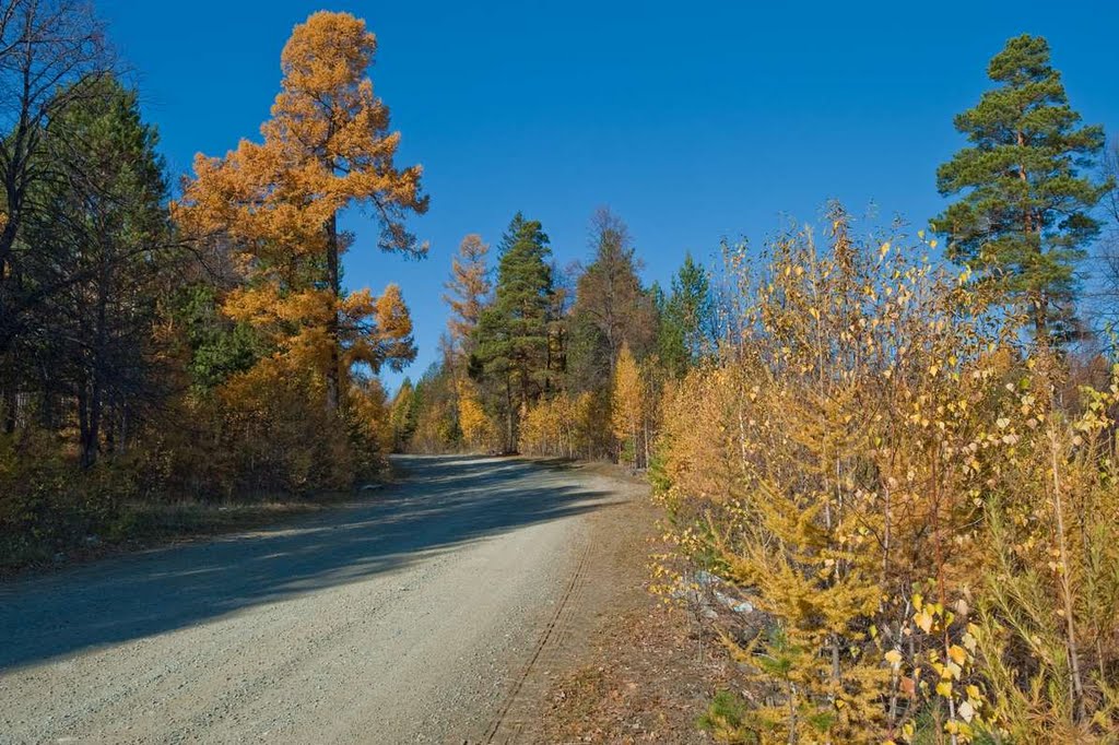 A road to a career