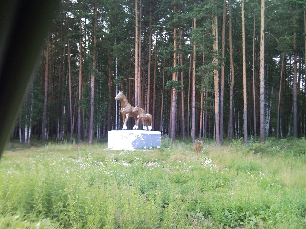 Красноармейский. Лошадки.