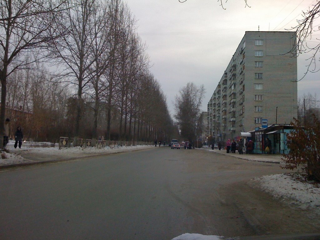 Улица мира около дома 4, в правом верхнем углу Мира 6