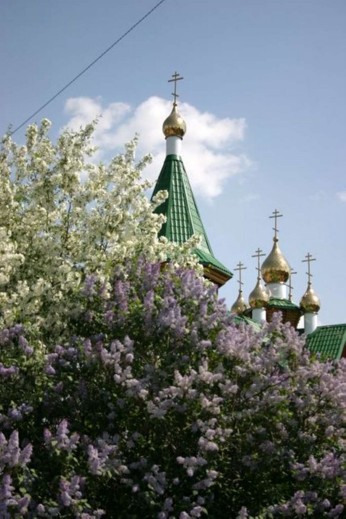 Церковь на Луговой