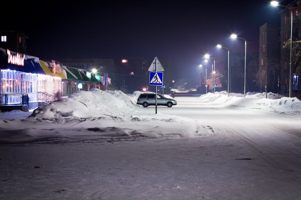 Елизарьевых ночью.