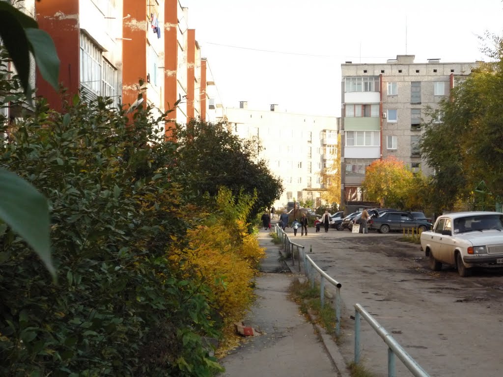 осень 55 дом