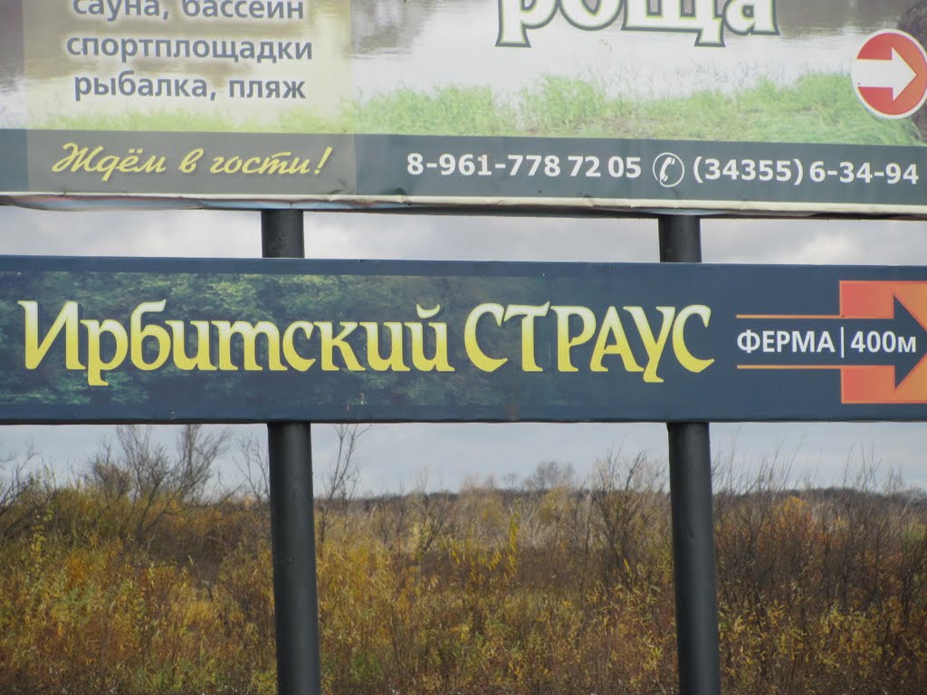 Страусиная ферма