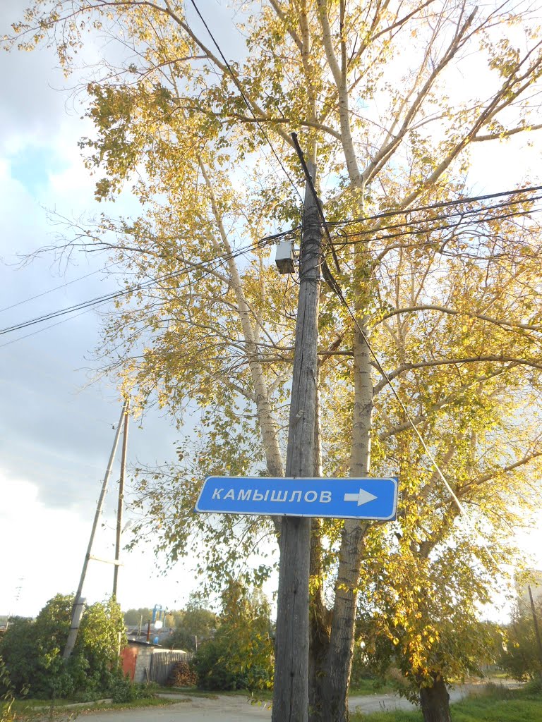 Но нам туда не надо