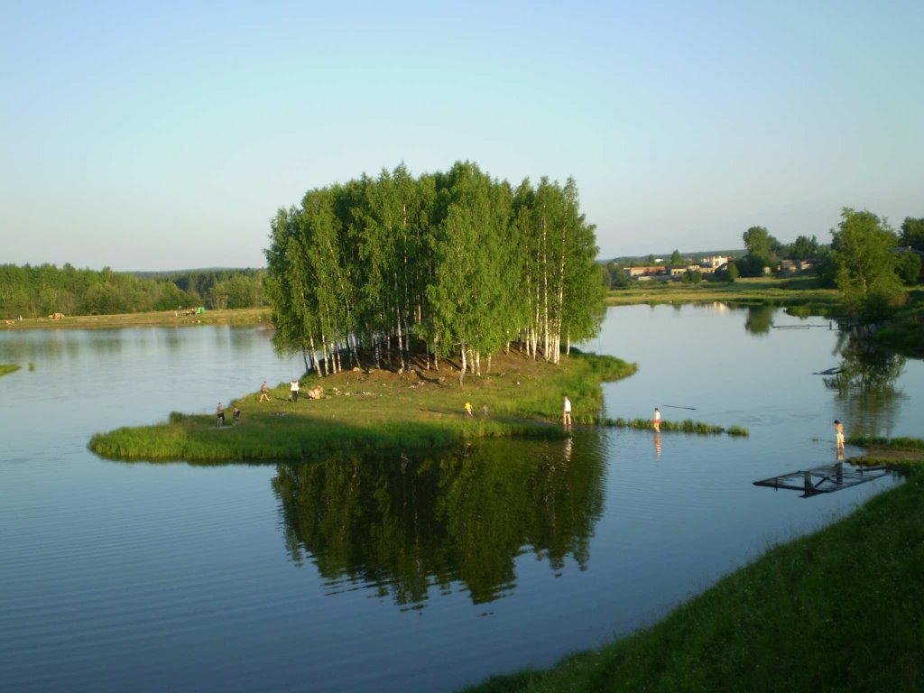 Берёзовая роща 1