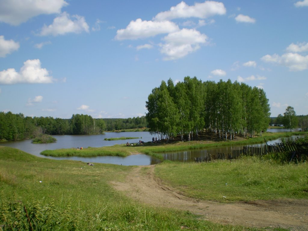 Берёзовая роща 2
