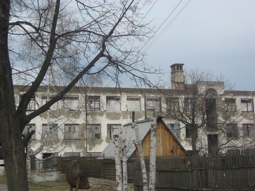 Все, что осталось от Исовского геологоразведочного техникума