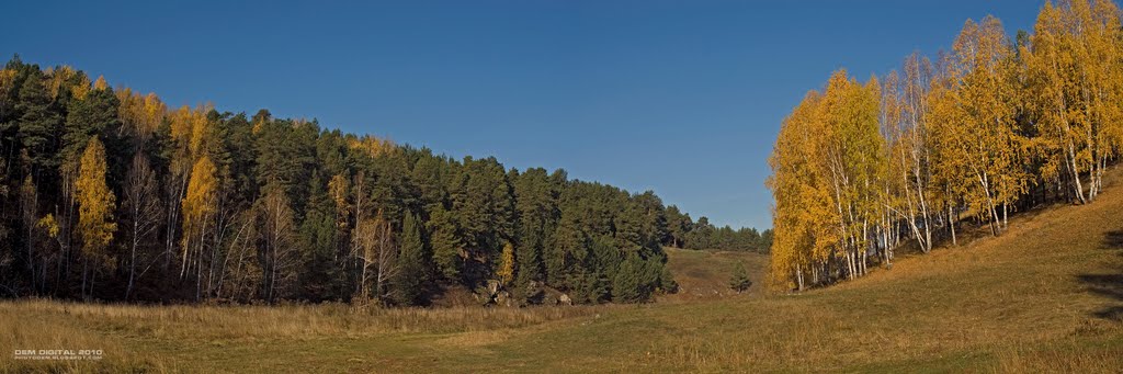 Золотая осень на Каменке (Возле лыжной трассы)