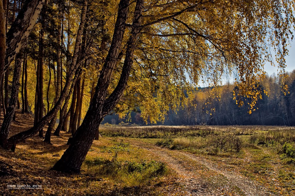 Золотая осень на Каменке (Майская поляна III)