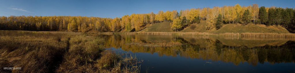 Золотая осень на Каменке (Камышовый полуостров)
