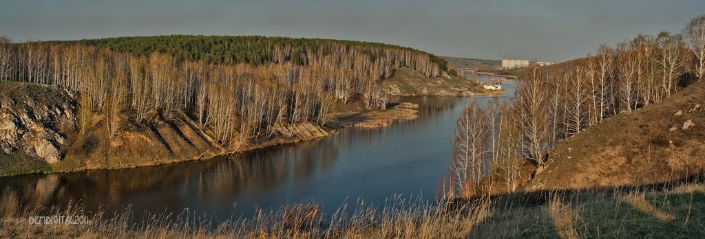 Майская зелень