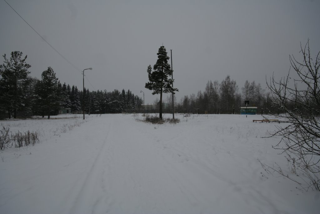 Внутри парка ДКУ