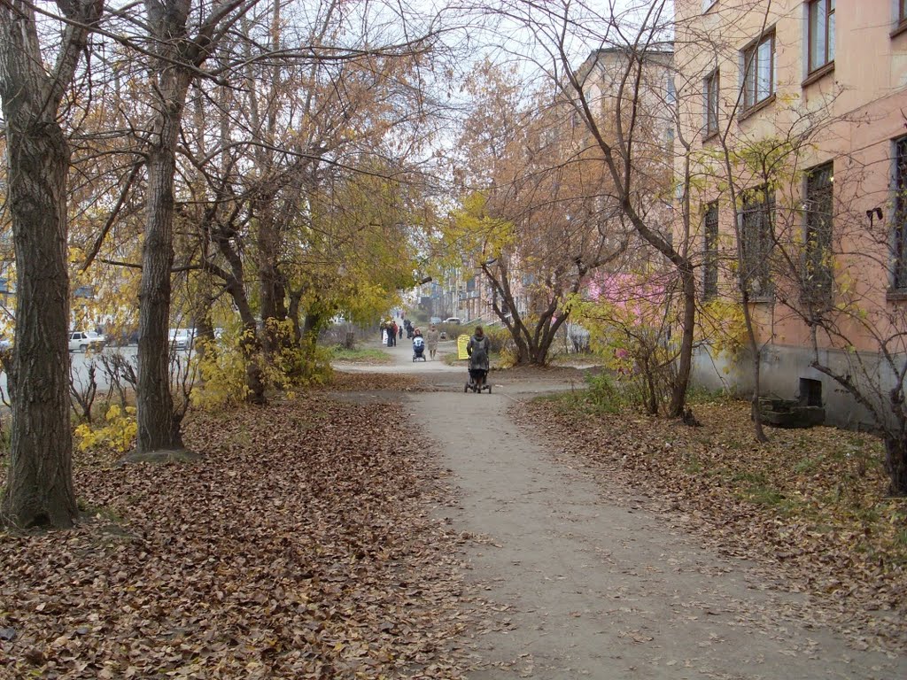Возле библиотеки