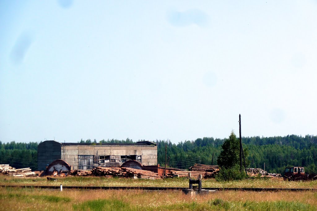 Карпунинский. Лесопилка.