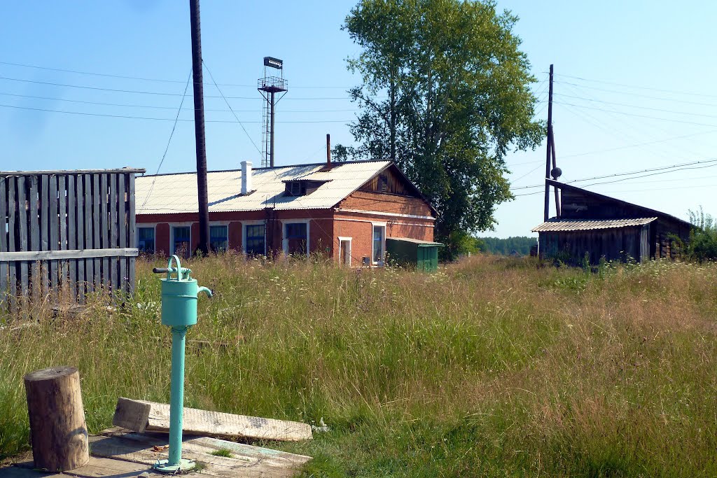 Карпунинский. Колонка.