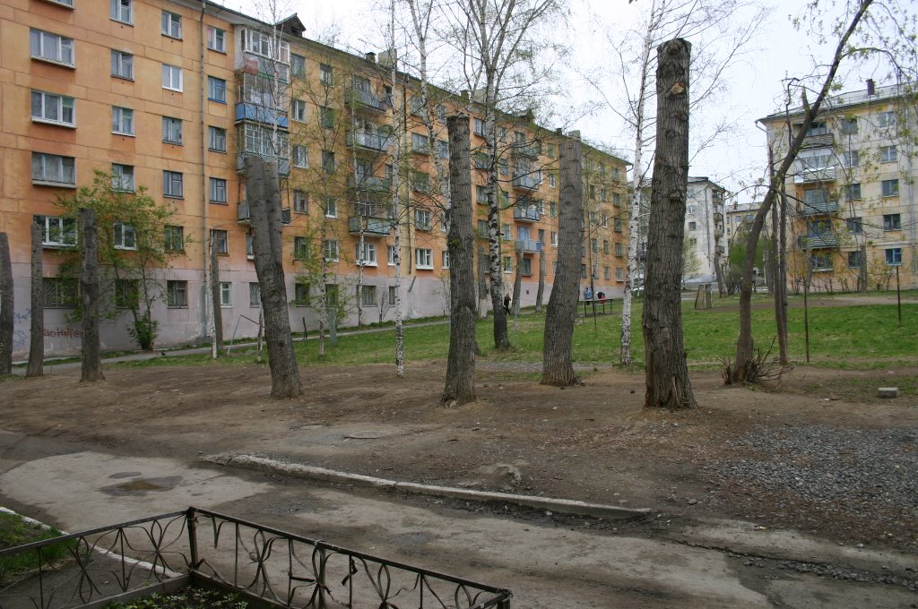 dvor3