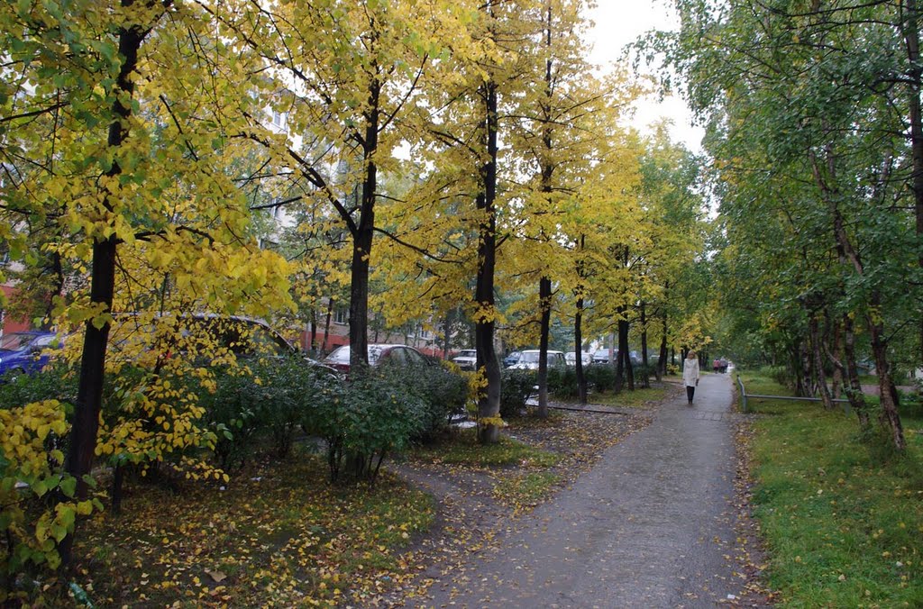Осень