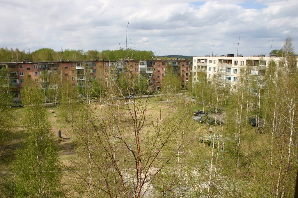 Dvor