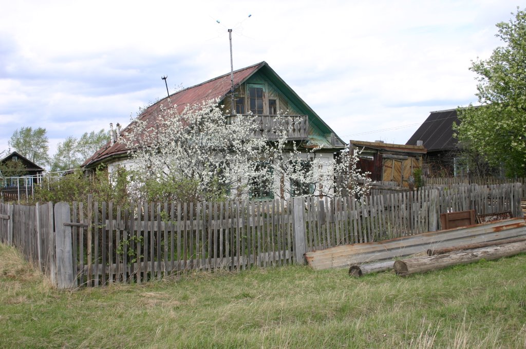 Levenka