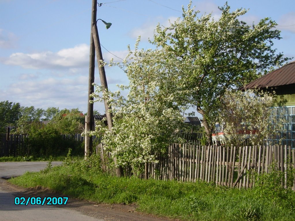улица  Народной стройки