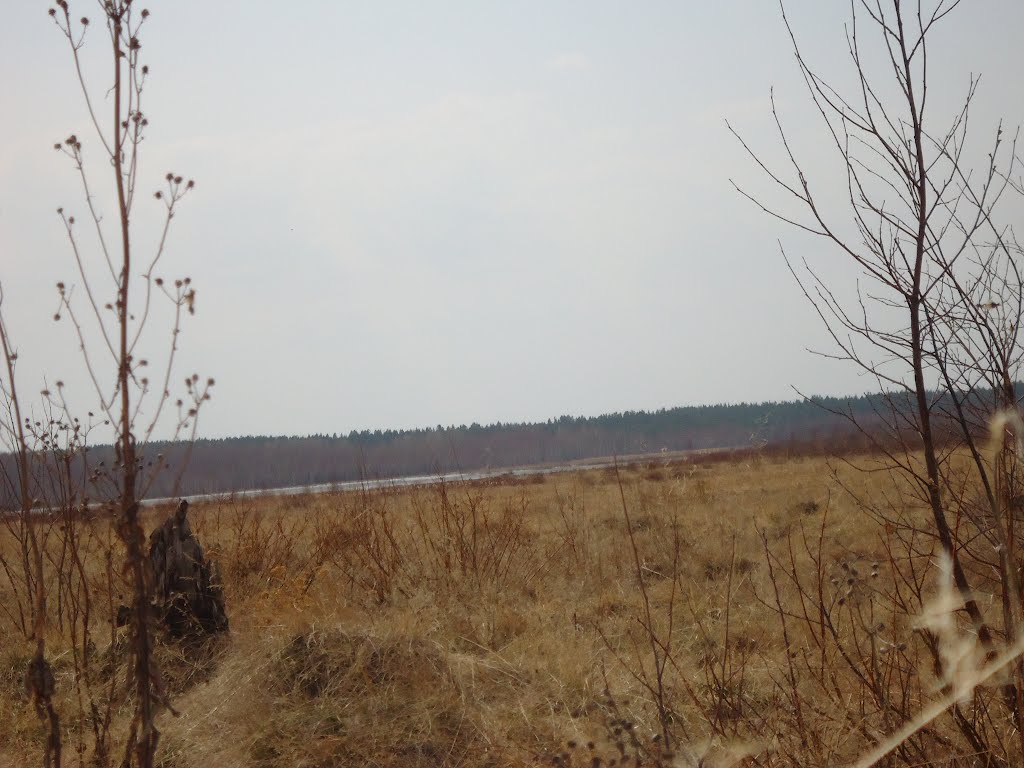 Гор пруд