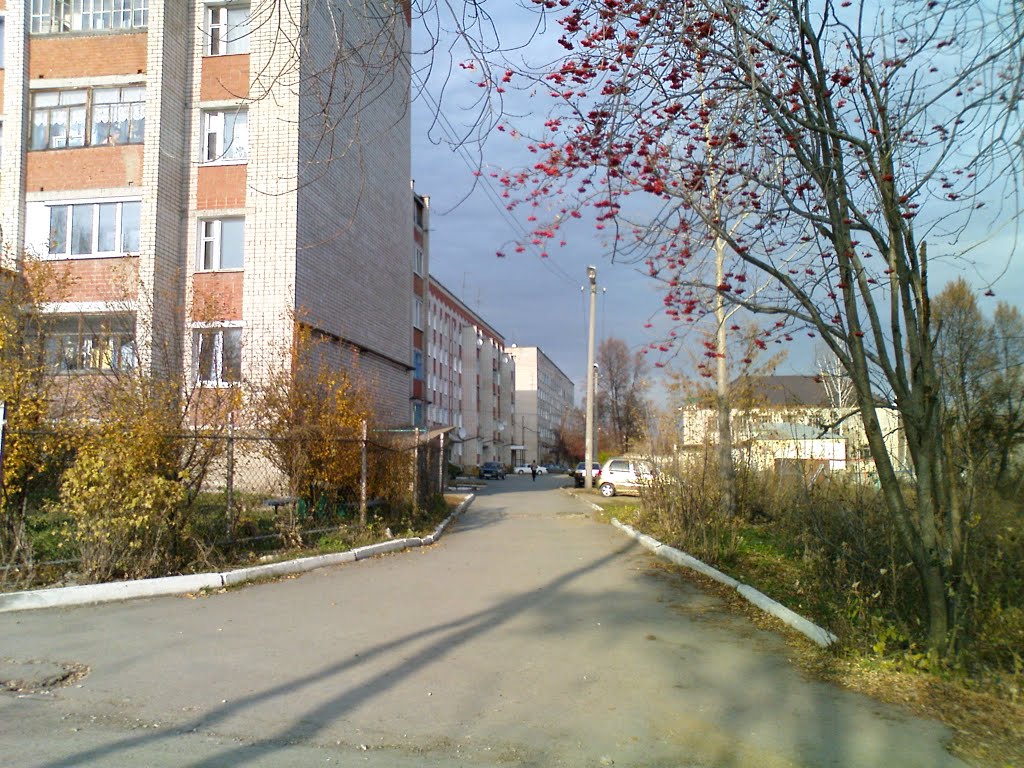 Въезд во двор дома № 33 по ул. Ухтомского