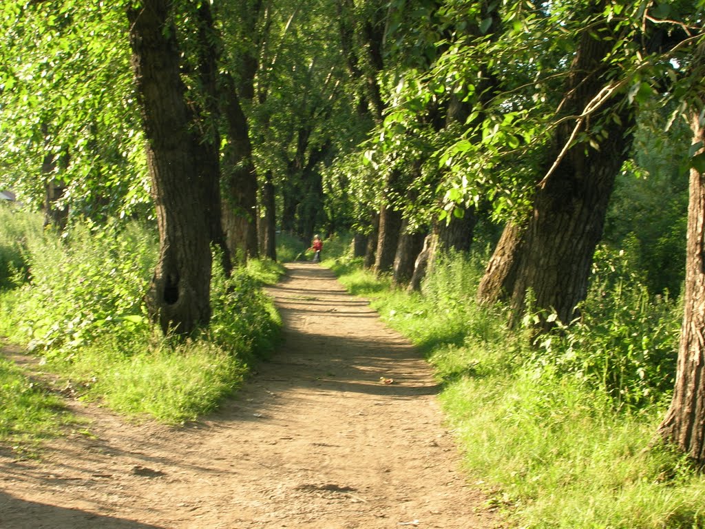 Козий парк