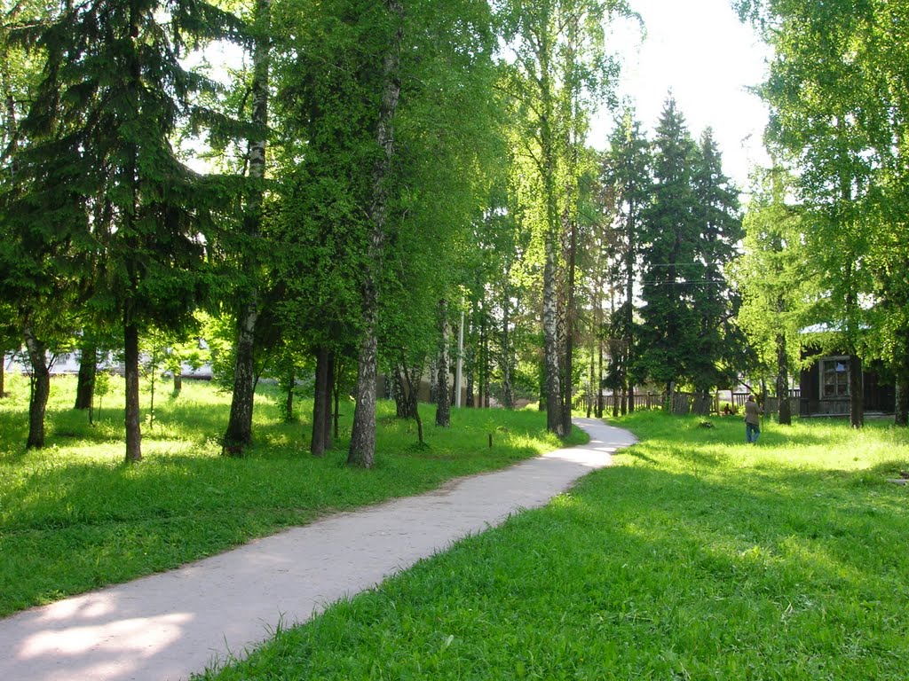 Кусочек истории. Парк земской больницы